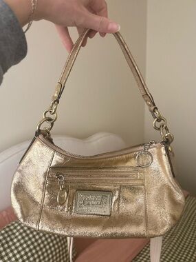 Coach Poppy Leather Groovy Handbag/Crossbody Bag